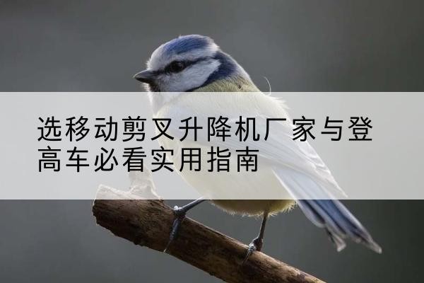 张家口电动升降机厂家-选移动剪叉升降机厂家与登高车必看实用指南