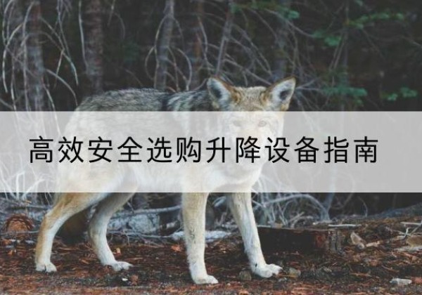 张家口升降货梯厂家推荐-*安全选购升降设备指南
