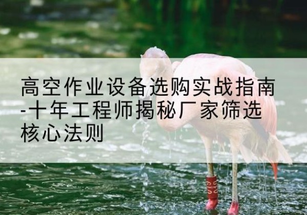 张家口剪叉式升降机厂家-高空作业设备选购实战指南-十年工程师揭秘厂家筛选核心法则